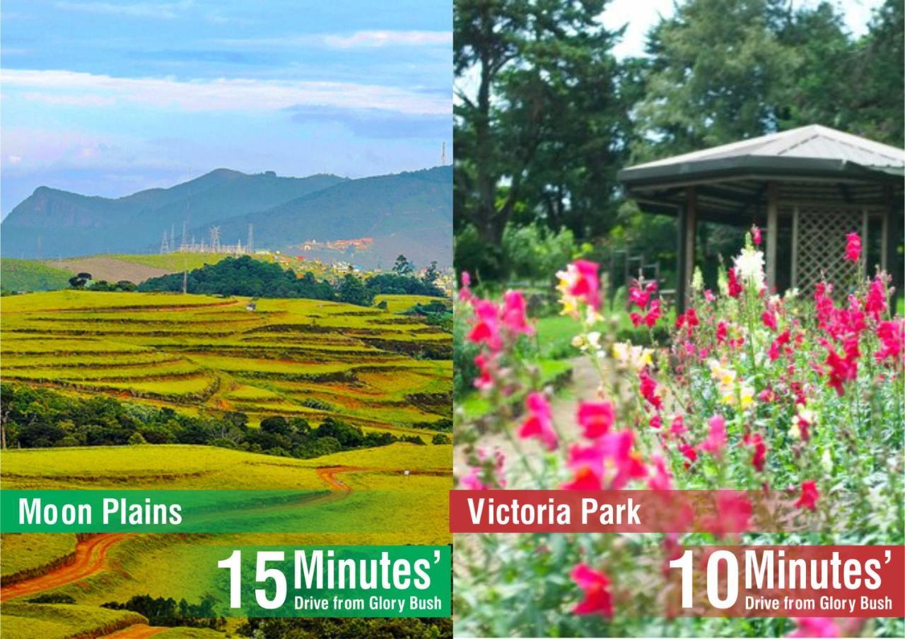 Glory Bush Boutique Villa Nuwara Eliya Eksteriør billede
