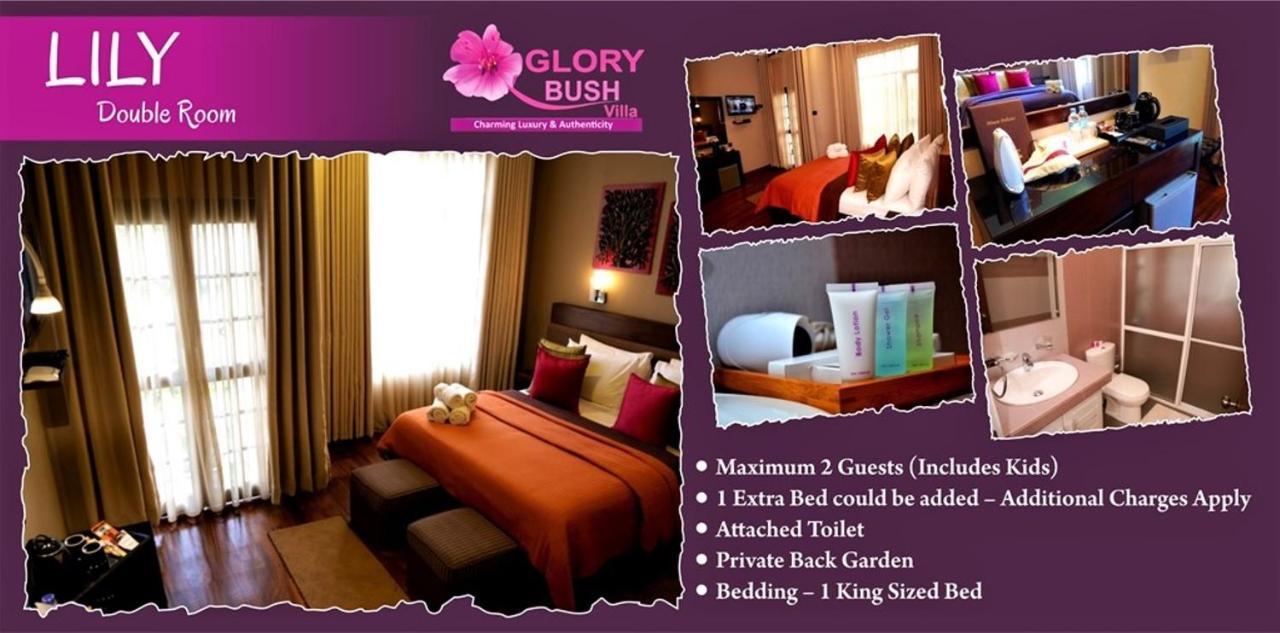 Glory Bush Boutique Villa Nuwara Eliya Eksteriør billede